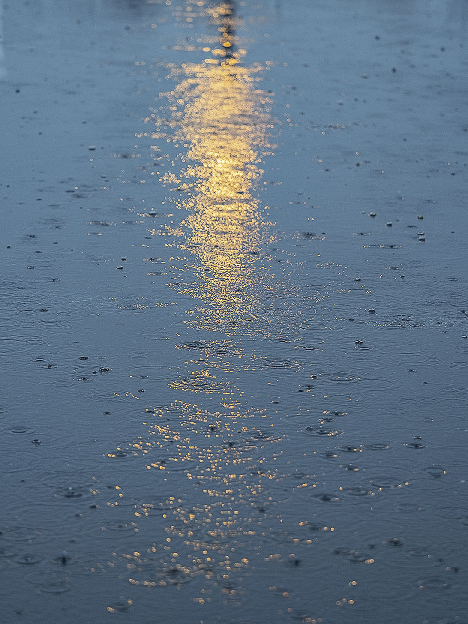 Rain puddle on pavement